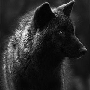 Meet your Posher, Ethan